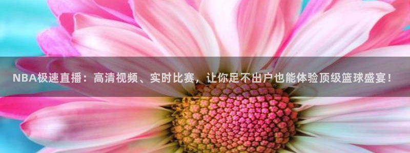 蓝鲸软件：NBA极速直播：高清视频、实时比赛，让你足不出户也能体验顶级篮球盛宴！