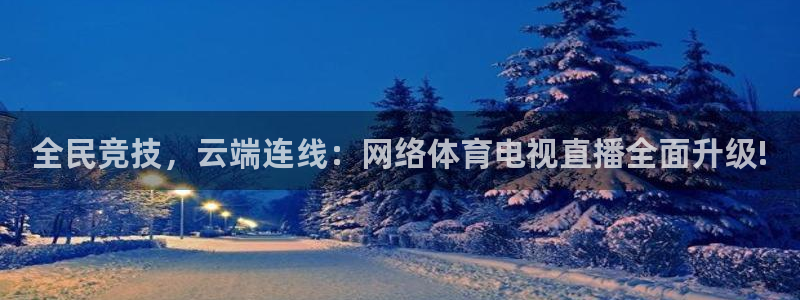蓝鲸体育直播app：全民竞技，云端连线：网络体育电视直播全面升级!
