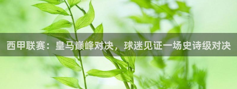 蓝鲸软件：西甲联赛：皇马巅峰对决，球迷见证一场史诗级对决