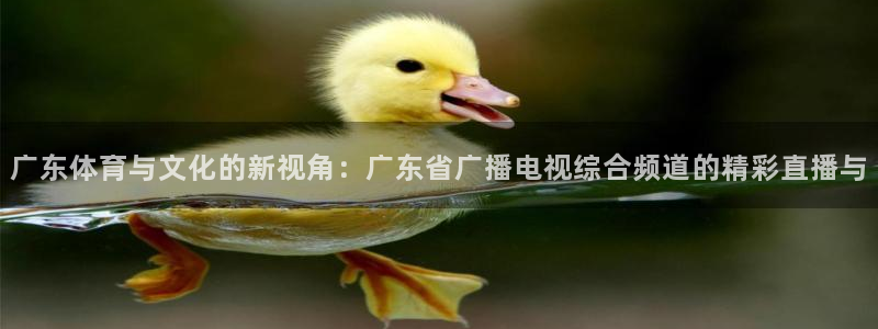 下载蓝鲸体育直播：广东体育与文化的新视角：广东省广播电视综合频道的精彩直播与