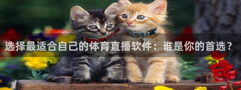 蓝鲸体育直播app：选择最适合自己的体育直播软件：谁是你的首选？