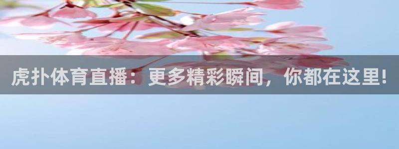 蓝鲸直播软件下载：虎扑体育直播：更多精彩瞬间，你都在这里!
