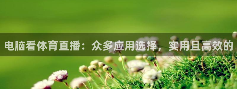 蓝鲸直播足球：电脑看体育直播：众多应用选择，实用且高效的