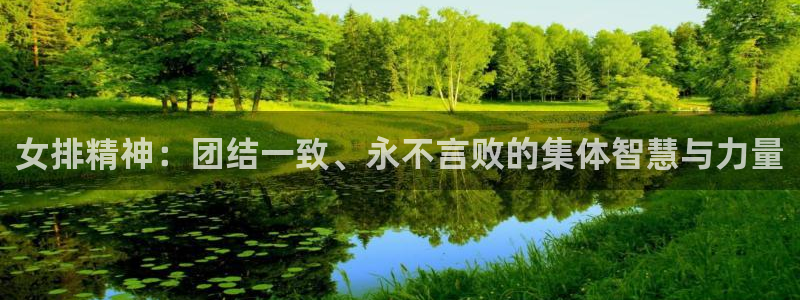 蓝鲸直播体育app：女排精神：团结一致、永不言败的集体智慧与力量