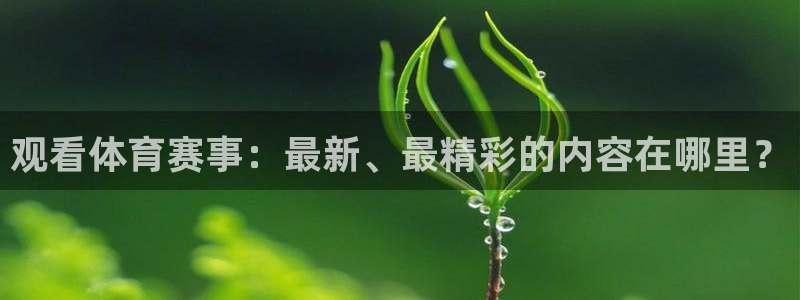 蓝鲸体育直播在线观看：观看体育赛事：最新、最精彩的内容在哪里？