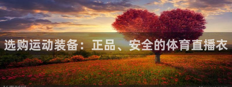蓝鲸直播安卓：选购运动装备：正品、安全的体育直播衣